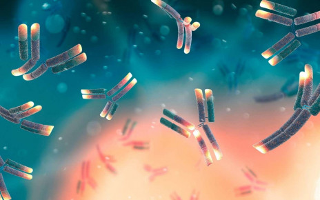 Covid-19 news: UK regulator approves Ronapreve antibody treatment