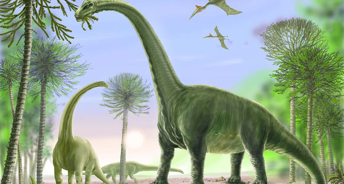 Giant dinosaurs may have fasted like emperor penguins when laying eggs