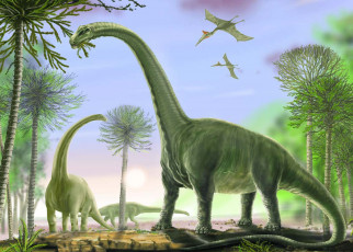 Giant dinosaurs may have fasted like emperor penguins when laying eggs