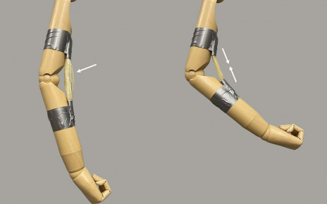 Wooden robot arm is powered by plastic muscles