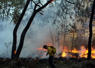 Wildfire pollution linked to at least 33,000 deaths worldwide