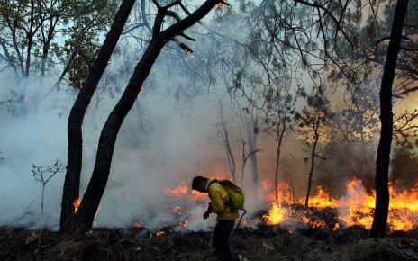 Wildfire pollution linked to at least 33,000 deaths worldwide
