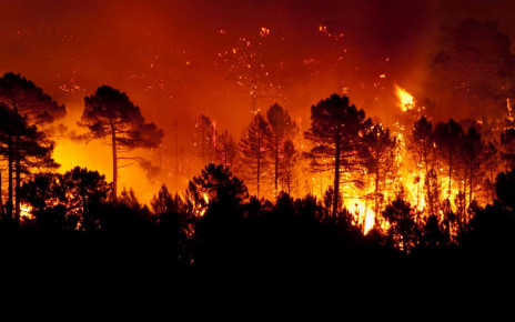 Forest fire, Pinus pinaster, Guadalajara (Spain) ; Shutterstock ID 1065315416; purchase_order: PHOTO; job: 18 Sept issue; client: NS; other: News
