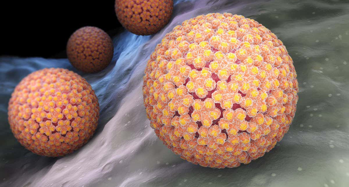 Having HPV while pregnant linked to increased risk of premature birth