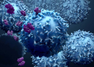 Cancer: Map of proteins in tumour cells pinpoints therapy targets