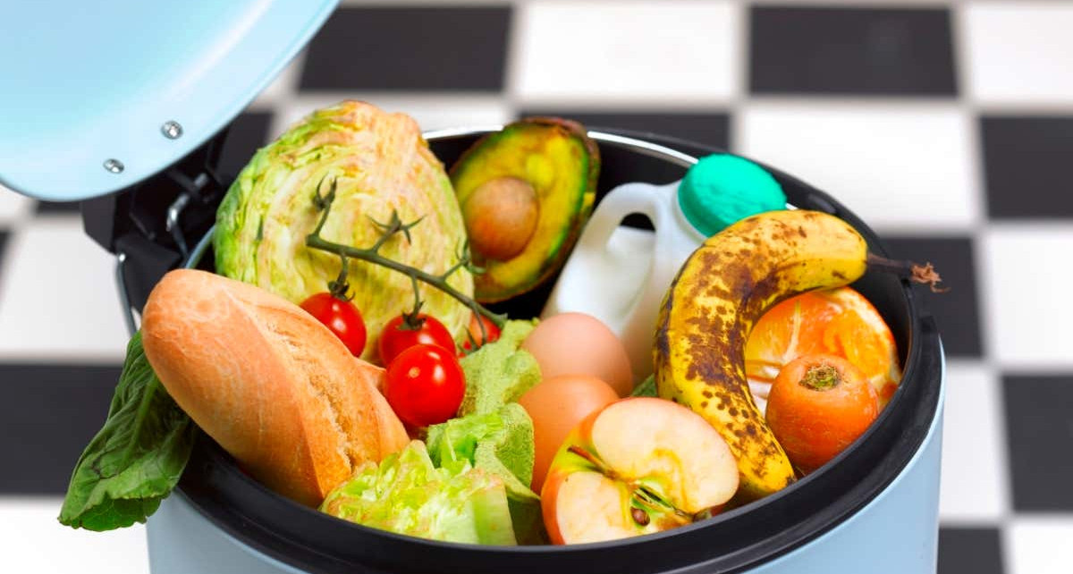 How can we prevent and reduce food waste?