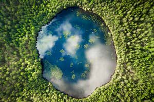 Earth lake. An almost perfect circular lake shot straight down from the air resembles the earth surrounded by a pine forest; Shutterstock ID 1928690141; purchase_order: -; job: -; client: -; other: -