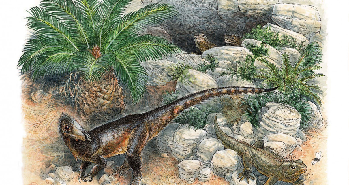 Dinosaurs: Chicken-sized fossil is UK’s earliest known theropod