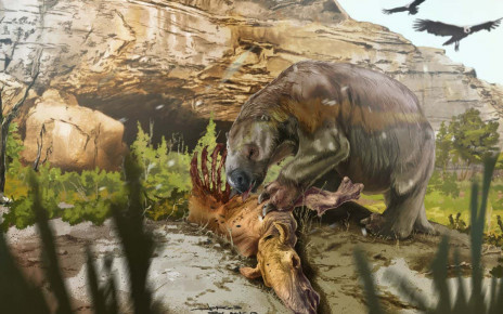 Ground sloths: Ancient 3-metre-long mammals sometimes ate meat