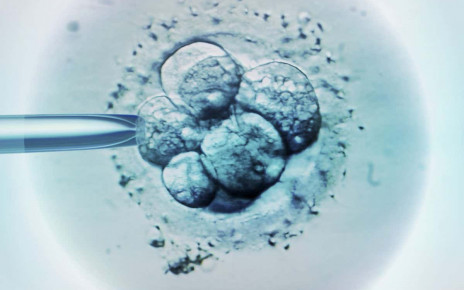IVF: Embryos discarded as 'abnormal' can actually become healthy babies