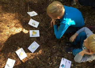 Ants: Danish children study effects of climate change on insect life