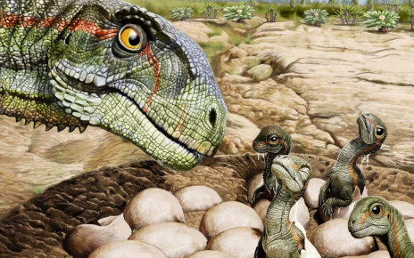 Dinosaurs: Herding behaviour began much earlier than we thought