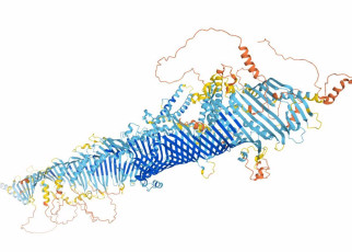 Biggest science news of 2021: DeepMind solves 98.5 per cent of human protein structures using its AlphaFold model