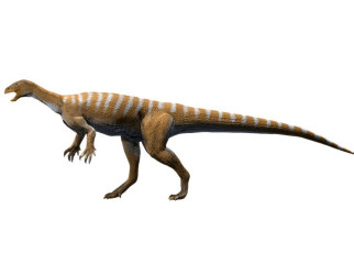Dinosaurs: Ancestor of long-necked Diplodocus ran swiftly on two legs