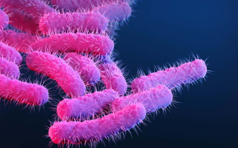 Antibiotic resistance killed more people than malaria or AIDS in 2019