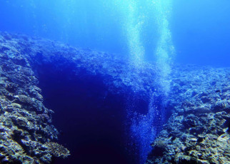 Microbes survive deep below the seafloor at temperatures up to 120°C