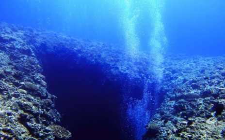 Microbes survive deep below the seafloor at temperatures up to 120°C