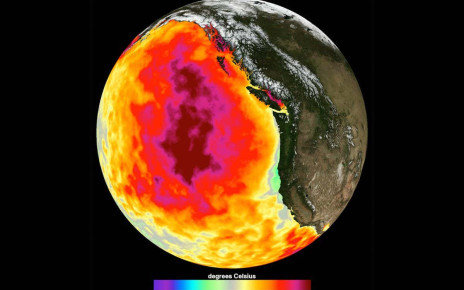 Ocean warming: Extreme marine heatwaves are the new normal