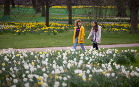 Spring: UK flowers are blooming a month early due to climate change