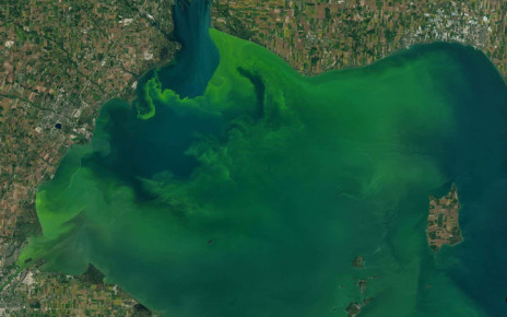 Algal blooms in freshwater lakes are becoming more common worldwide