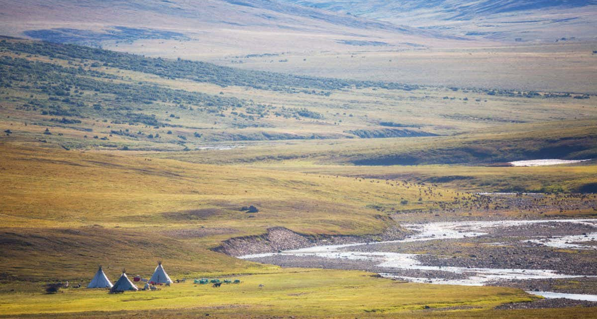 Could ancient viruses from melting permafrost cause the next pandemic?