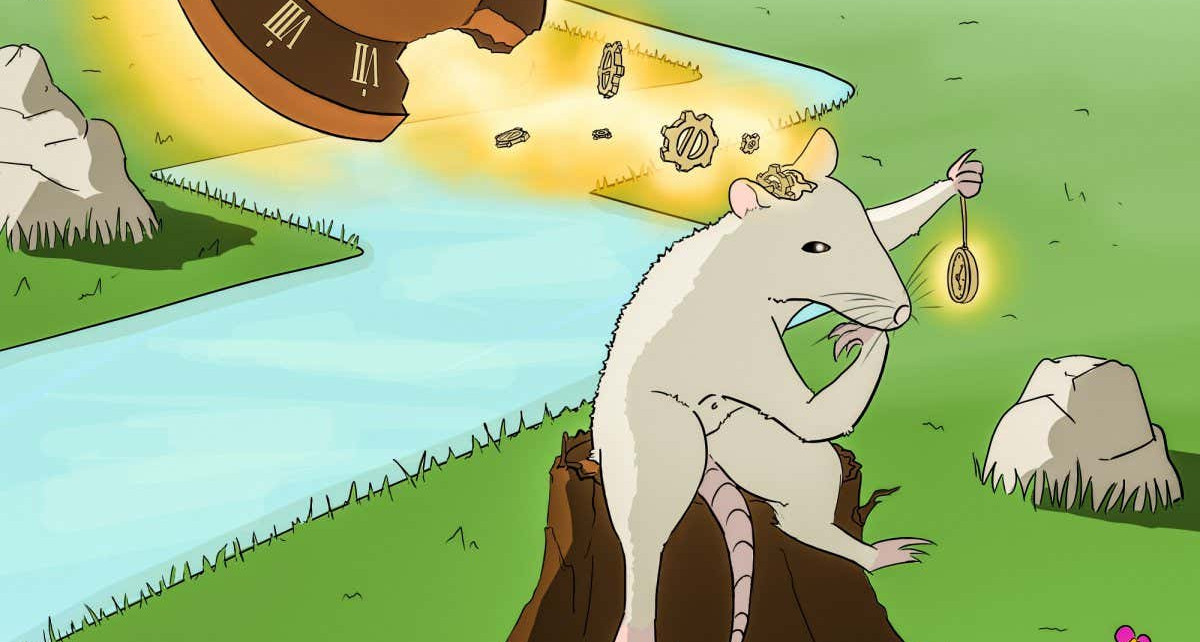 Animal behaviour: Rats can accurately estimate the passage of time