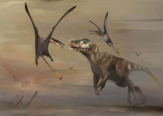 Pterosaur fossil from Scotland is largest Jurassic flier ever found