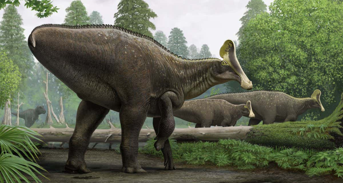 Dinosaur that broke its wrist may have fallen while mating