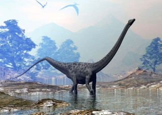 Dinosaurs: Sauropods had a gait unlike any living animal