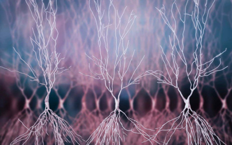Brain cells: Special neurons may signal when to start new memories