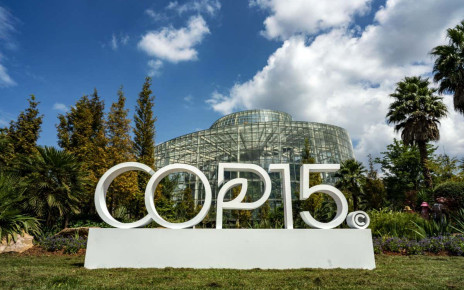 COP15 Kunming: UN biodiversity summit set to be delayed a fourth time