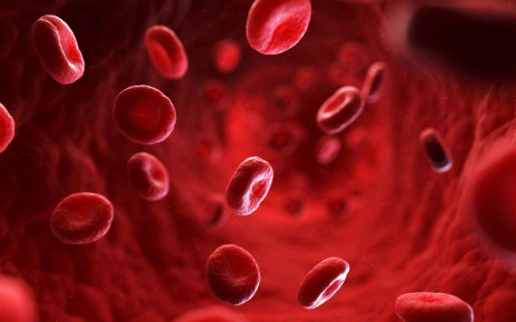 Young blood: Rejuvenating effects may be due to extracellular vesicles