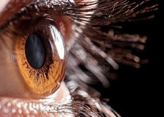 Bionic eye that mimics how pupils respond to light may improve vision