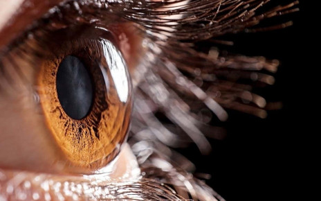 Bionic eye that mimics how pupils respond to light may improve vision