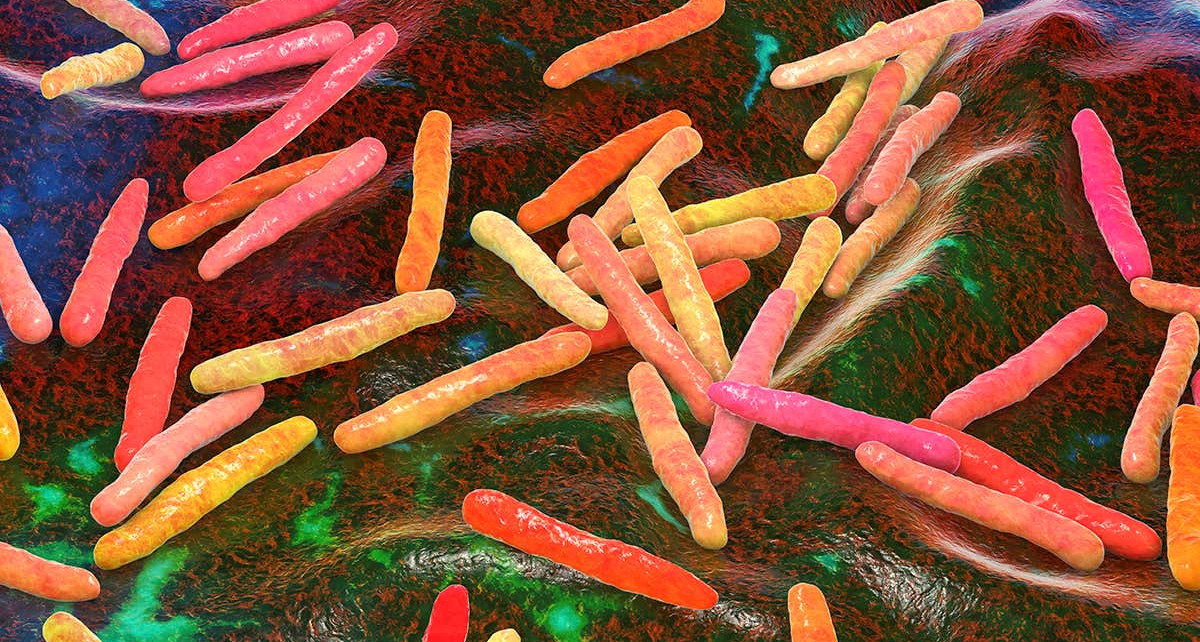 Tuberculosis | New Scientist