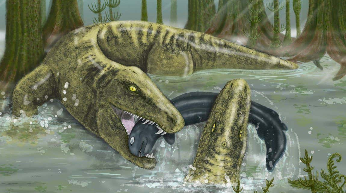 Whatcheeria: Ancient predator was one of first vertebrates to grow fast while young