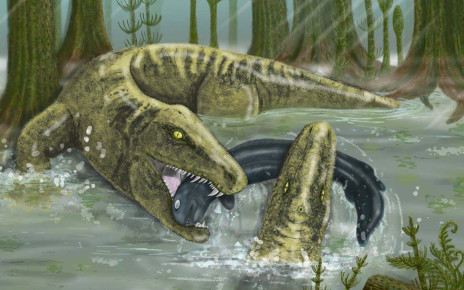 Whatcheeria: Ancient predator was one of first vertebrates to grow fast while young