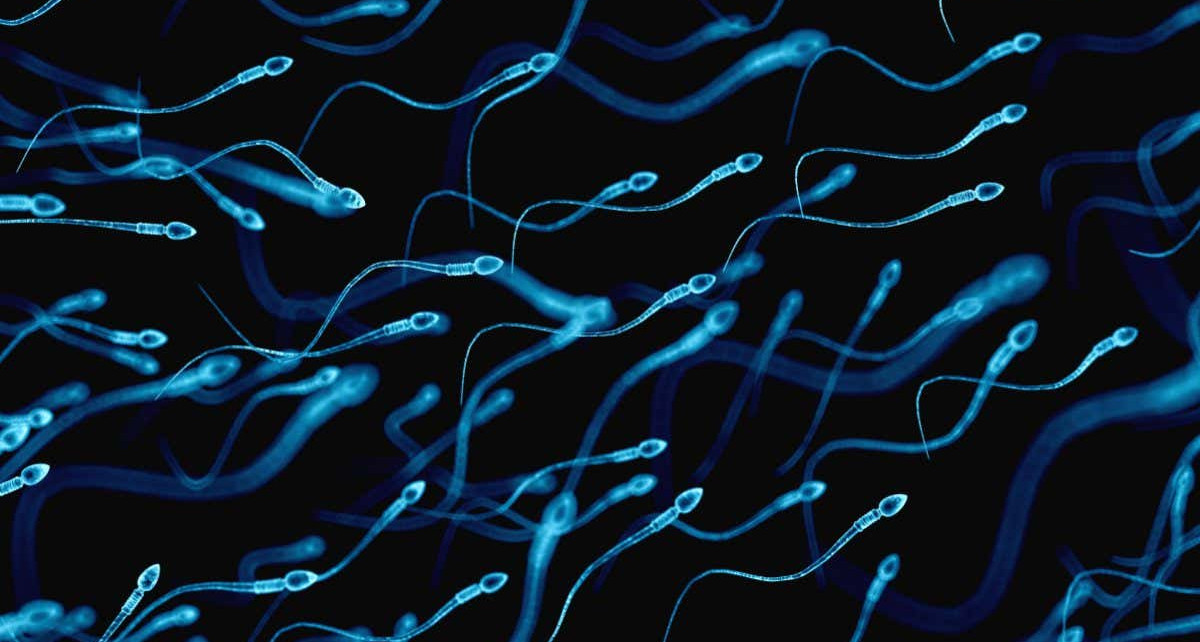 Sperm-blocking vaginal gel could be a reliable contraceptive method