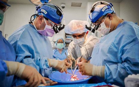 Landmark pig heart transplant was a big leap forward in 2022
