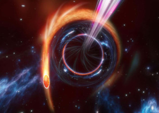 Tidal disruption event: Star ripped up by black hole is one of the brightest things ever seen