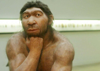 Antibiotics encoded in Neanderthal DNA could help us fight infections