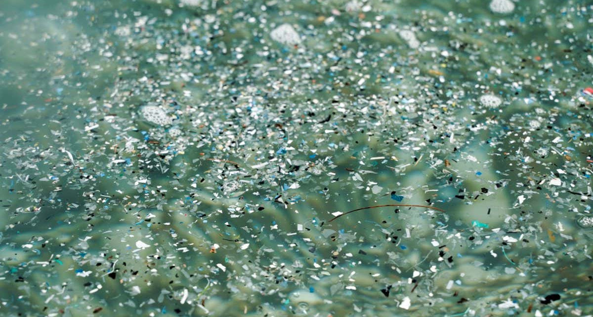 Microplastics: Trapping powder quickly removes contaminants from water