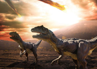 Diversity helped mammals survive asteroid that killed the dinosaurs