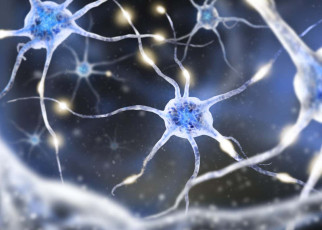 Stimulating the vagus nerve may reduce symptoms of multiple sclerosis