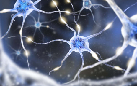 Stimulating the vagus nerve may reduce symptoms of multiple sclerosis