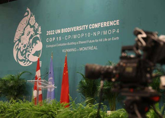 COP15: Rich countries announce alliance to make mineral mining green