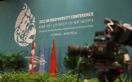 COP15: Rich countries announce alliance to make mineral mining green