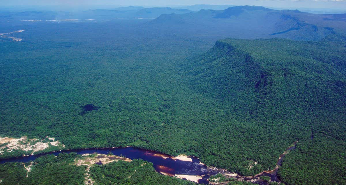2023 could mark a turning point for the Amazon rainforest