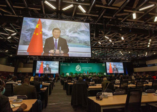 COP15: China calls for action as biodiversity talks break down