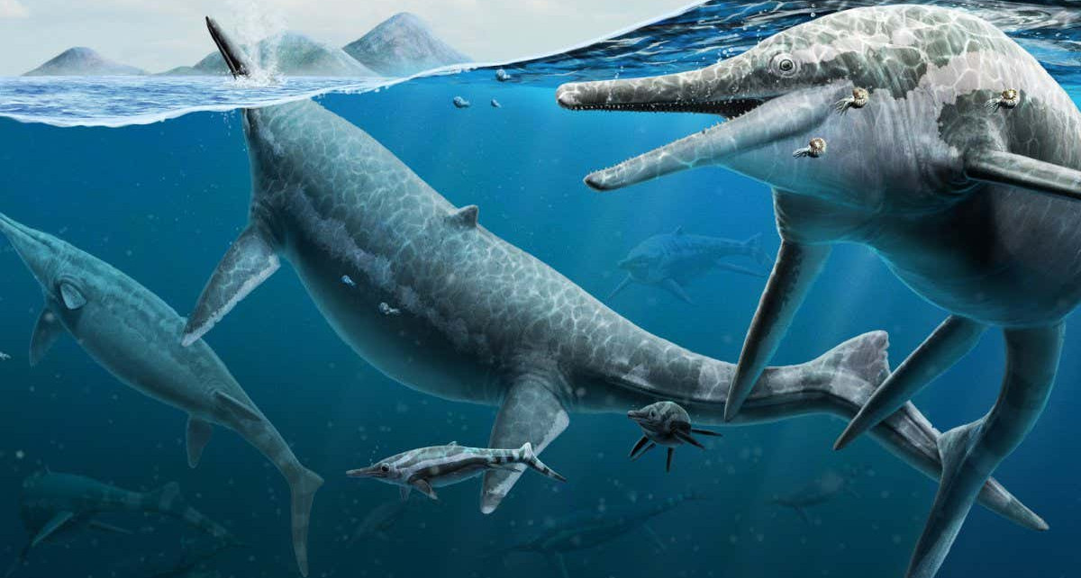 Ichthyosaurs used a barren region of the ocean as an ancient nursery